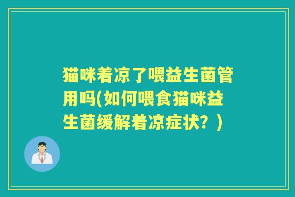 猫咪着凉了喂益生菌管用吗(如何喂食猫咪益生菌缓解着凉症状？)