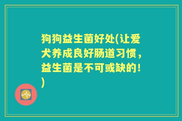 狗狗益生菌好处(让爱犬养成良好肠道习惯，益生菌是不可或缺的！)