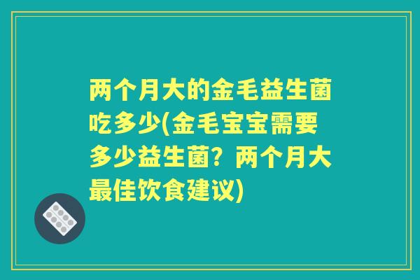 两个月大的金毛益生菌吃多少(金毛宝宝需要多少益生菌?两个月大佳饮食建议) 两个月大的金毛益生菌吃多少(金毛宝宝需要多少益生菌?两个月大佳饮食建议)
