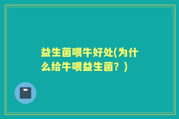 益生菌喂牛好处(为什么给牛喂益生菌?) 益生菌喂牛好处(为什么给牛喂益生菌?)