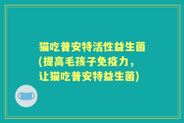 猫吃普安特活性益生菌(提高毛孩子力,让猫吃普安特益生菌) 猫吃普安特活性益生菌(提高毛孩子力,让猫吃普安特益生菌)