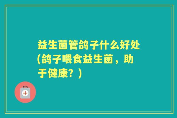 益生菌管鸽子什么好处(鸽子喂食益生菌，助于健康？)