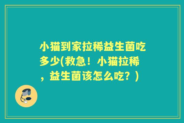 小猫到家拉稀益生菌吃多少(救急!小猫拉稀,益生菌该怎么吃?) 小猫到家拉稀益生菌吃多少(救急!小猫拉稀,益生菌该怎么吃?)