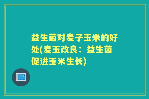 益生菌对麦子玉米的好处(麦玉改良:益生菌促进玉米生长) 益生菌对麦子玉米的好处(麦玉改良:益生菌促进玉米生长)