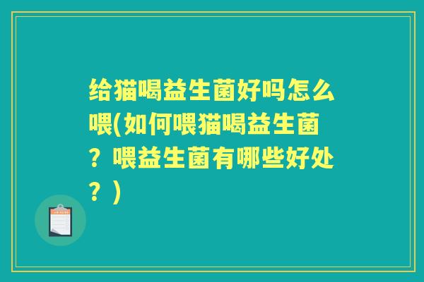 给猫喝益生菌好吗怎么喂(如何喂猫喝益生菌?喂益生菌有哪些好处?) 给猫喝益生菌好吗怎么喂(如何喂猫喝益生菌?喂益生菌有哪些好处?)