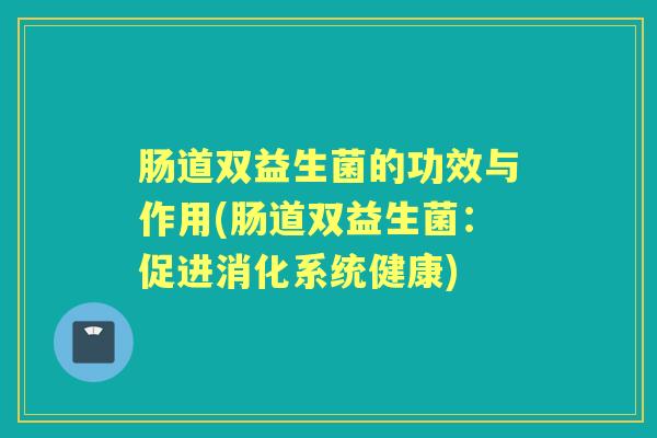肠道双益生菌的功效与作用(肠道双益生菌：促进消化系统健康)