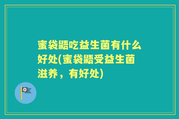 蜜袋鼯吃益生菌有什么好处(蜜袋鼯受益生菌滋养，有好处)