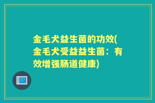金毛犬益生菌的功效(金毛犬受益益生菌：有效增强肠道健康)