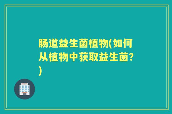 肠道益生菌植物(如何从植物中获取益生菌？)