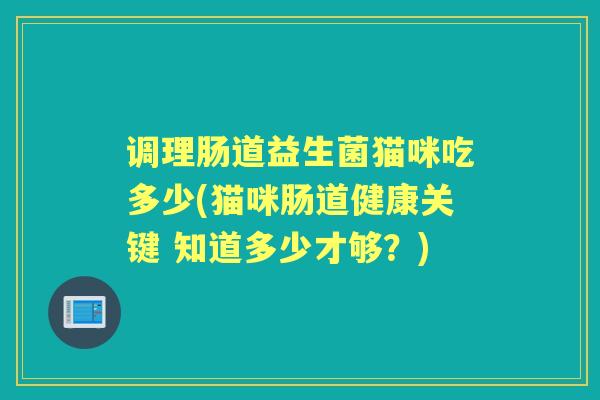 调理肠道益生菌猫咪吃多少(猫咪肠道健康关键 知道多少才够？)