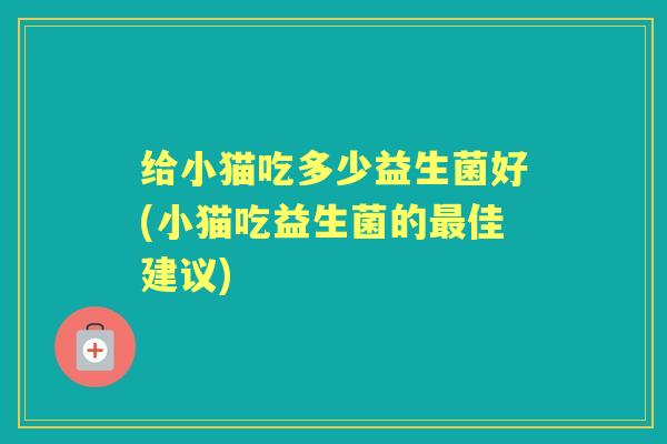 给小猫吃多少益生菌好(小猫吃益生菌的佳建议)