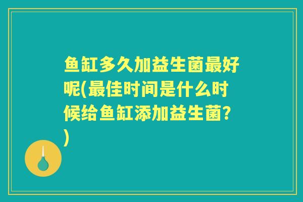 鱼缸多久加益生菌好呢(佳时间是什么时候给鱼缸添加益生菌?) 鱼缸多久加益生菌好呢(佳时间是什么时候给鱼缸添加益生菌?)