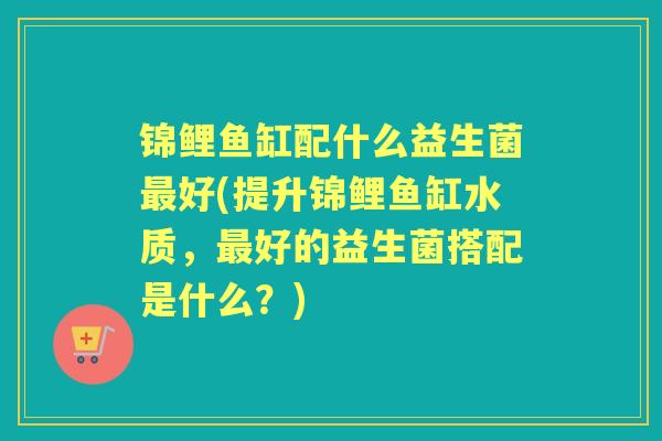锦鲤鱼缸配什么益生菌最好(提升锦鲤鱼缸水质，最好的益生菌搭配是什么？)