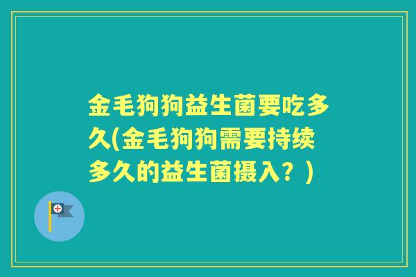 金毛狗狗益生菌要吃多久(金毛狗狗需要持续多久的益生菌摄入？)