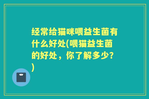 经常给猫咪喂益生菌有什么好处(喂猫益生菌的好处，你了解多少？)