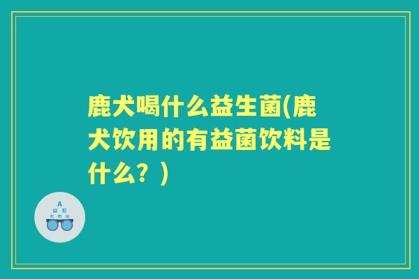 鹿犬喝什么益生菌(鹿犬饮用的有益菌饮料是什么？)