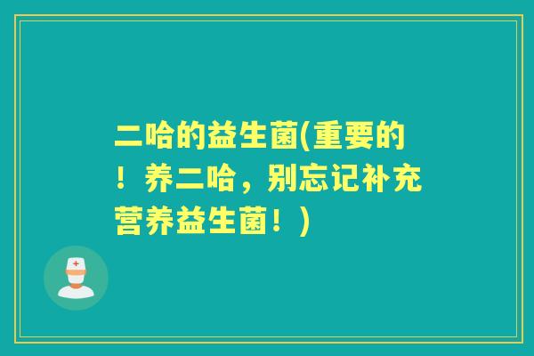二哈的益生菌(重要的!养二哈,别忘记补充营养益生菌!) 二哈的益生菌(重要的!养二哈,别忘记补充营养益生菌!)