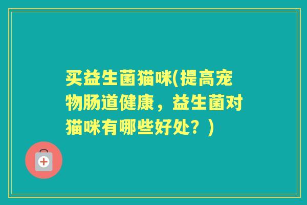 买益生菌猫咪(提高宠物肠道健康，益生菌对猫咪有哪些好处？)
