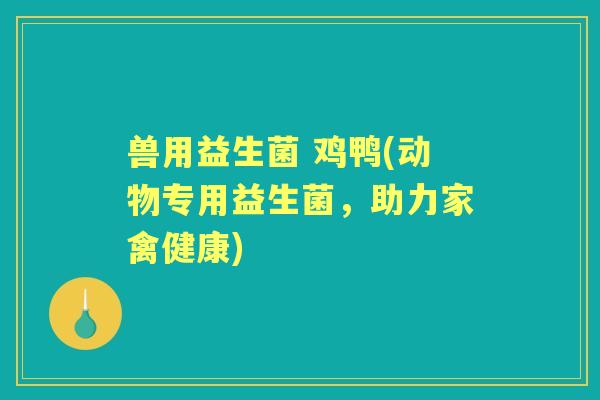 兽用益生菌 鸡鸭(动物专用益生菌,助力家禽健康) 兽用益生菌 鸡鸭(动物专用益生菌,助力家禽健康)