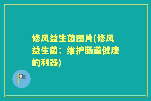 修风益生菌图片(修风益生菌:维护肠道健康的利器) 修风益生菌图片(修风益生菌:维护肠道健康的利器)