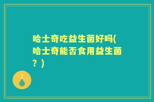 哈士奇吃益生菌好吗(哈士奇能否食用益生菌？)