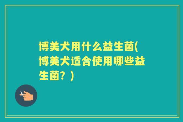 博美犬用什么益生菌(博美犬适合使用哪些益生菌？)