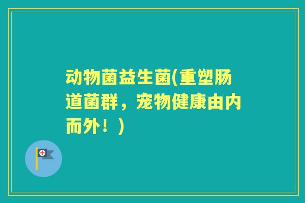 动物菌益生菌(重塑肠道菌群,宠物健康由内而外!) 动物菌益生菌(重塑肠道菌群,宠物健康由内而外!)