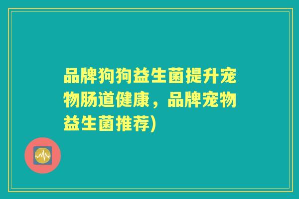 品牌狗狗益生菌提升宠物肠道健康，品牌宠物益生菌推荐)