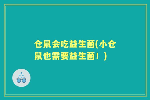 仓鼠会吃益生菌(小仓鼠也需要益生菌！)