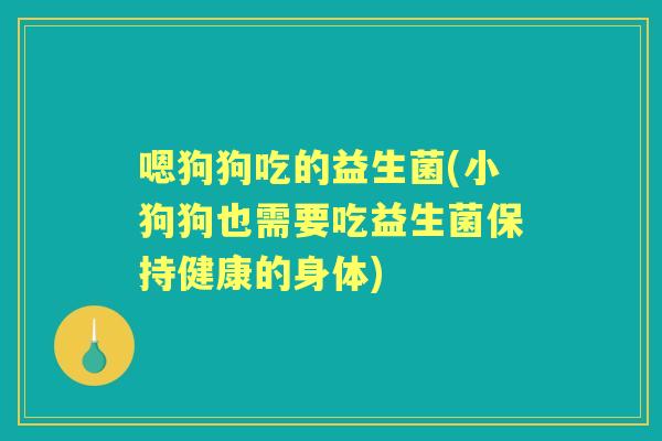 嗯狗狗吃的益生菌(小狗狗也需要吃益生菌保持健康的身体)