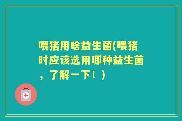 喂猪用啥益生菌(喂猪时应该选用哪种益生菌,了解一下!) 喂猪用啥益生菌(喂猪时应该选用哪种益生菌,了解一下!)