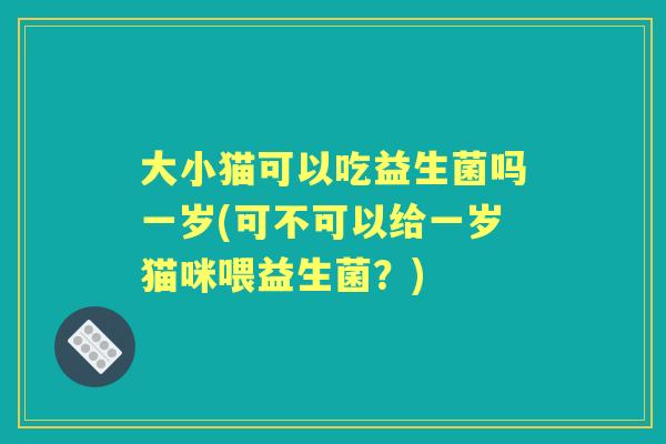 大小猫可以吃益生菌吗一岁(可不可以给一岁猫咪喂益生菌？)