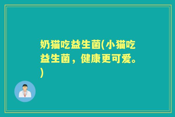 奶猫吃益生菌(小猫吃益生菌,健康更可爱。) 奶猫吃益生菌(小猫吃益生菌,健康更可爱。)