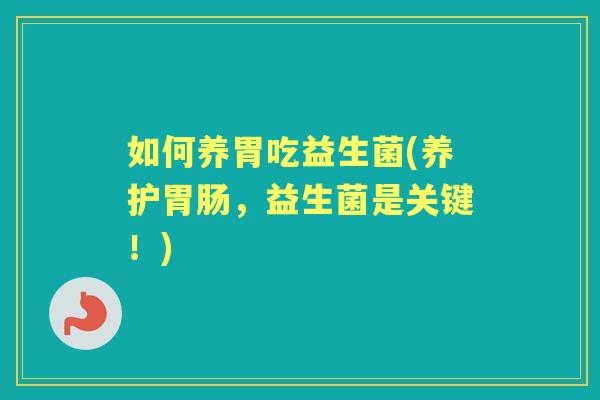 如何养胃吃益生菌(养护,益生菌是关键!) 如何养胃吃益生菌(养护,益生菌是关键!)