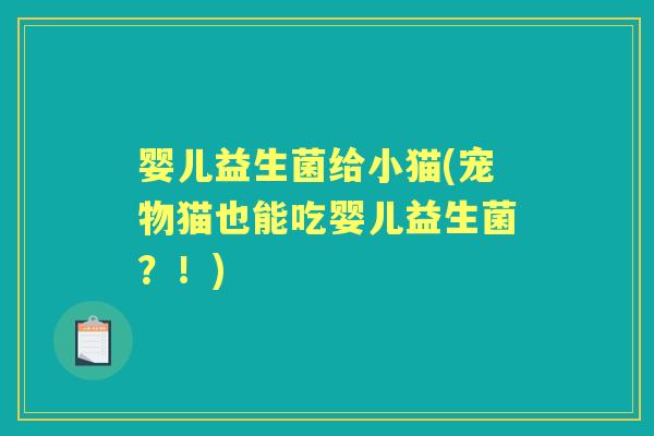 婴儿益生菌给小猫(宠物猫也能吃婴儿益生菌?!) 婴儿益生菌给小猫(宠物猫也能吃婴儿益生菌?!)