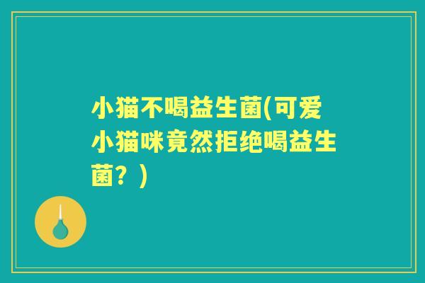 小猫不喝益生菌(可爱小猫咪竟然拒绝喝益生菌?) 小猫不喝益生菌(可爱小猫咪竟然拒绝喝益生菌?)
