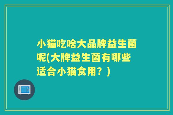 小猫吃啥大品牌益生菌呢(大牌益生菌有哪些适合小猫食用？)