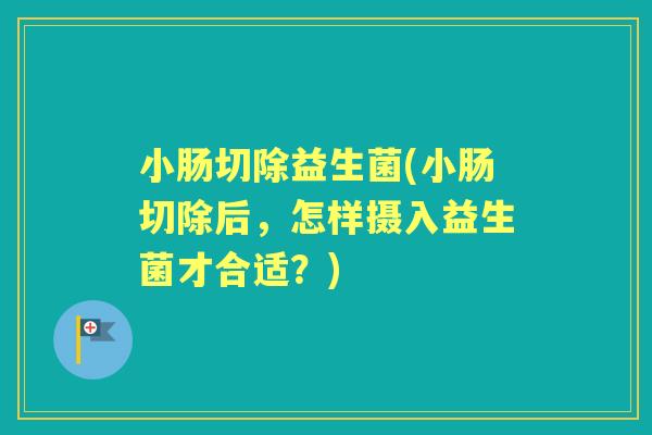 小肠切除益生菌(小肠切除后,怎样摄入益生菌才合适?) 小肠切除益生菌(小肠切除后,怎样摄入益生菌才合适?)
