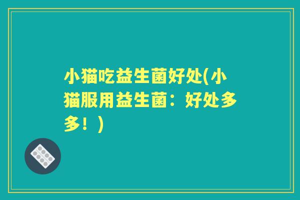 小猫吃益生菌好处(小猫服用益生菌:好处多多!) 小猫吃益生菌好处(小猫服用益生菌:好处多多!)