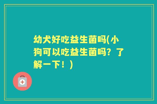 幼犬好吃益生菌吗(小狗可以吃益生菌吗?了解一下!) 幼犬好吃益生菌吗(小狗可以吃益生菌吗?了解一下!)