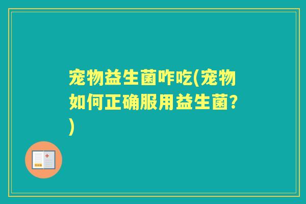 宠物益生菌咋吃(宠物如何正确服用益生菌？)