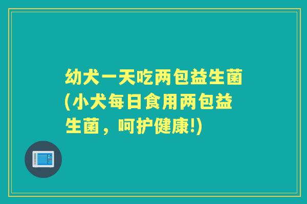 幼犬一天吃两包益生菌(小犬每日食用两包益生菌,呵护健康!) 幼犬一天吃两包益生菌(小犬每日食用两包益生菌,呵护健康!)