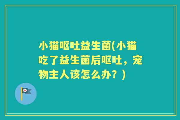 小猫益生菌(小猫吃了益生菌后,宠物主人该怎么办?) 小猫益生菌(小猫吃了益生菌后,宠物主人该怎么办?)