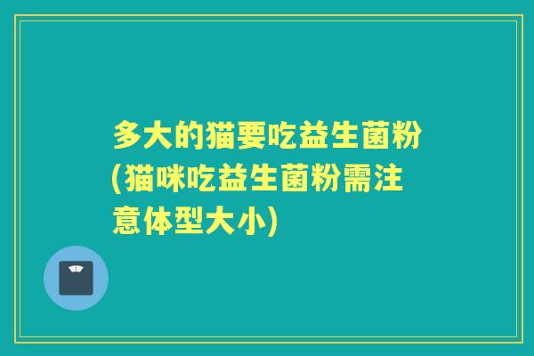 多大的猫要吃益生菌粉(猫咪吃益生菌粉需注意体型大小) 多大的猫要吃益生菌粉(猫咪吃益生菌粉需注意体型大小)