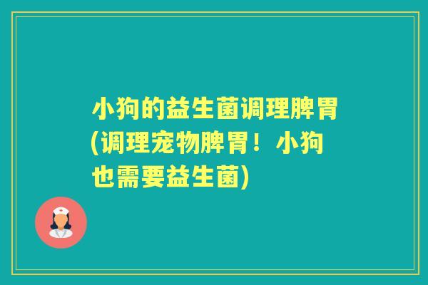 小狗的益生菌调理脾胃(调理宠物脾胃！小狗也需要益生菌)