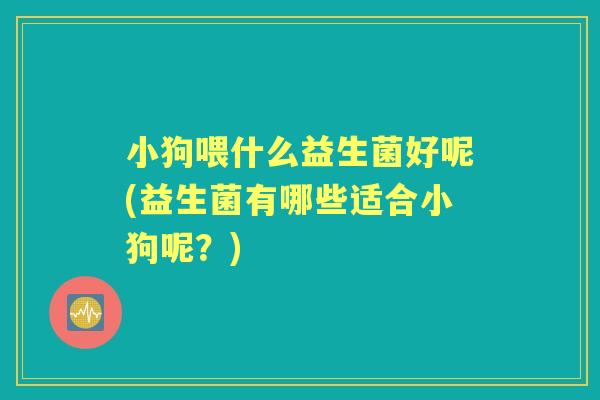 小狗喂什么益生菌好呢(益生菌有哪些适合小狗呢?) 小狗喂什么益生菌好呢(益生菌有哪些适合小狗呢?)