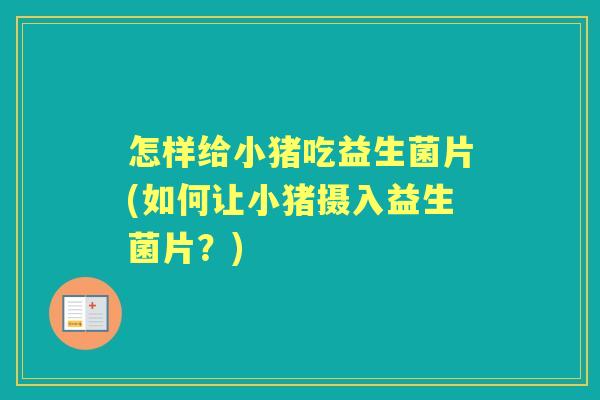 怎样给小猪吃益生菌片(如何让小猪摄入益生菌片?) 怎样给小猪吃益生菌片(如何让小猪摄入益生菌片?)