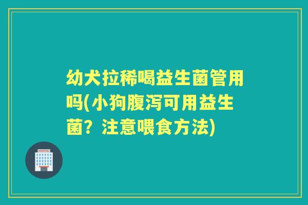 幼犬拉稀喝益生菌管用吗(小狗可用益生菌?注意喂食方法) 幼犬拉稀喝益生菌管用吗(小狗可用益生菌?注意喂食方法)