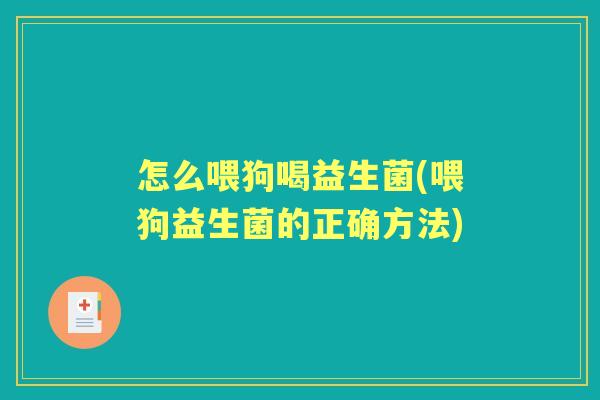 怎么喂狗喝益生菌(喂狗益生菌的正确方法)
