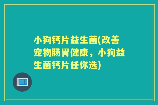 小狗钙片益生菌(改善宠物肠胃健康，小狗益生菌钙片任你选)